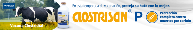 imagen alusiva a banner ourofino 2