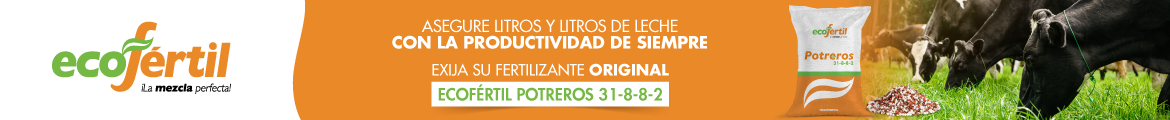 imagen alusiva a Fincota 