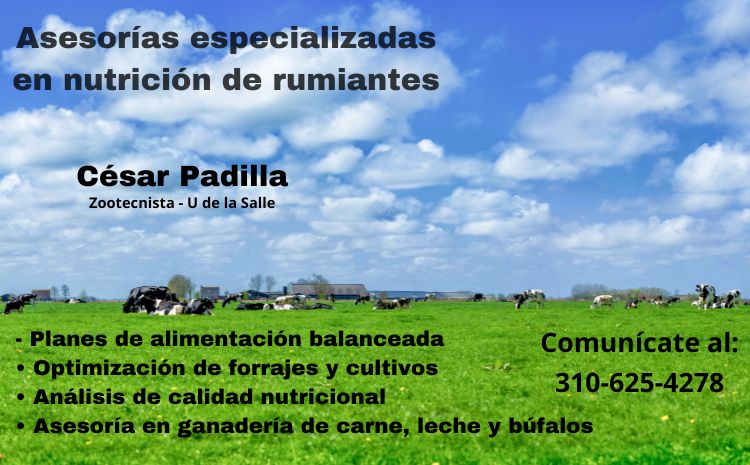 imagen alusiva a Rumiando y viajando 