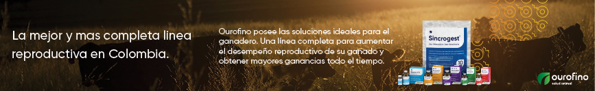 imagen alusiva a banner ourofino 2