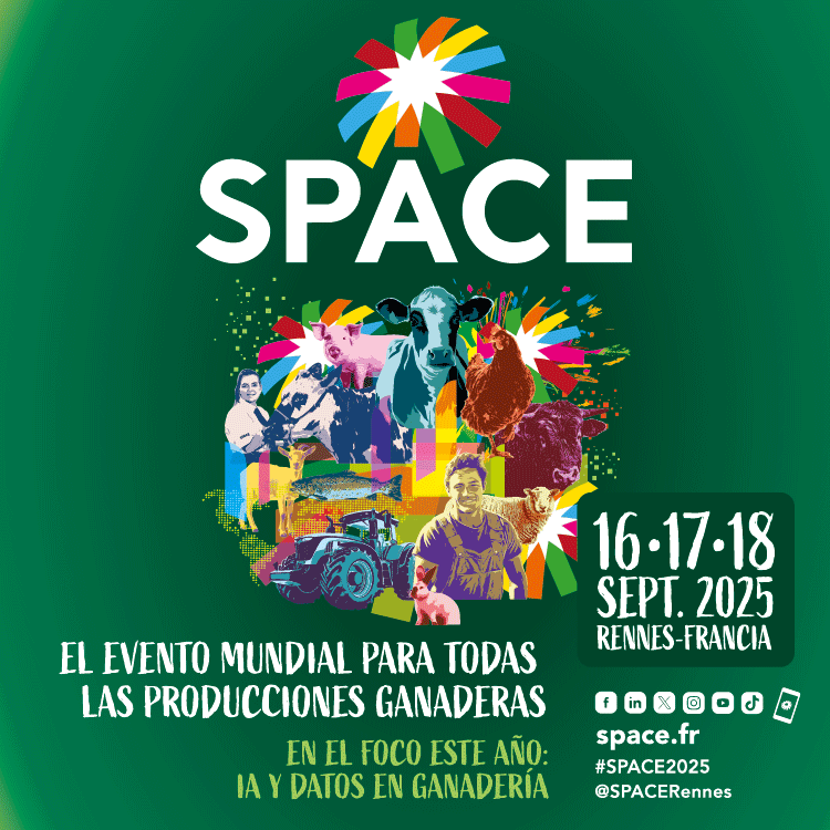 imagen alusiva a spacce 2025 